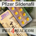 Pfizer Sildenafil new06